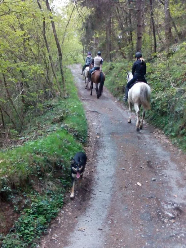 Passeggiate a cavallo – Agriturismo Il Moro
